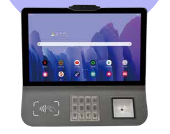 Z101 Wall Mounted POS (example)